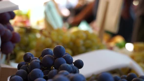 Scenes Of The Rialto Food Market In Venice (22 Of 22)