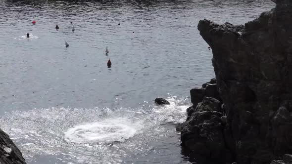 Jumping Off Cliff Into Mediterranean alt