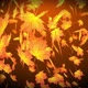 Autumn Leaves 2 - VideoHive Item for Sale