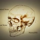 Skull Md - VideoHive Item for Sale