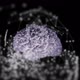 Plexus Brain Blur - VideoHive Item for Sale