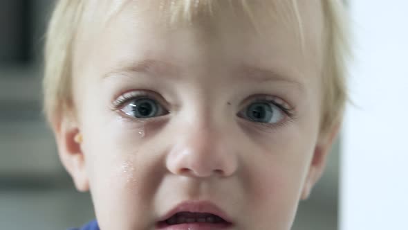 Scenes Of A Boy Crying (3 Of 6)