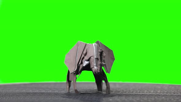 Elephant Origami Miniature on Green Screen.