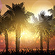 Palm Trees at Sunset - GraphicRiver Item for Sale