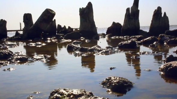 Piles Of Old Wooden Bridge On Sea Coast. 