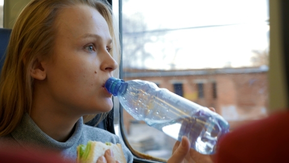Woman Having Snack While Traveling By Train alt