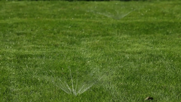 The System Of Rain Watering The Lawn.