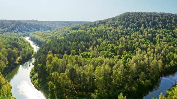 Panorama Forest and River From the Air. Flying on Drone Over Forest Among Trees and Bushes