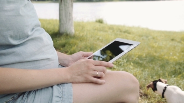 Pregnant Woman Using Tablet Pc In Park
