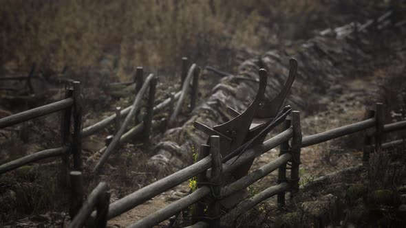 Russian Old Village on the Edge of the Forest is Destroyed