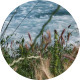 River Side - VideoHive Item for Sale
