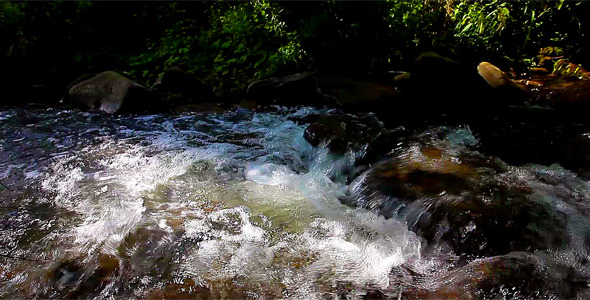 Mountain Stream 3