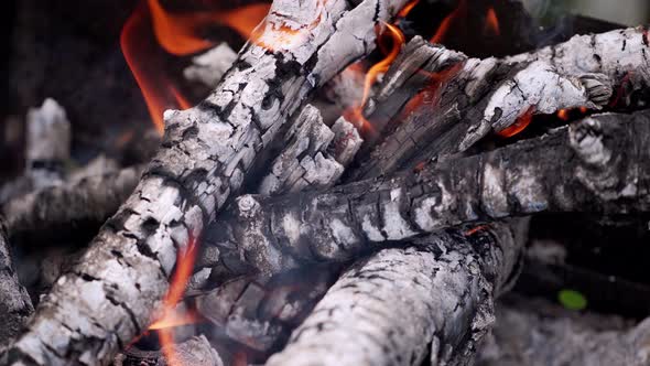 Close up of blazing fire. Flames of piece of firewood on open campfire
