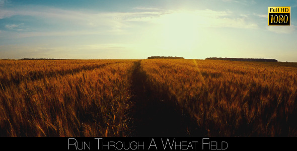 Run Through A Wheat Field