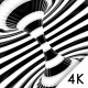 Black & White Torus  - VideoHive Item for Sale