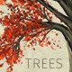 Zelkova Serrata Trees - GraphicRiver Item for Sale