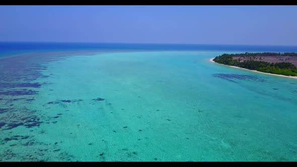 Aerial drone view nature of luxury lagoon beach wildlife by blue ocean and clean sandy background of