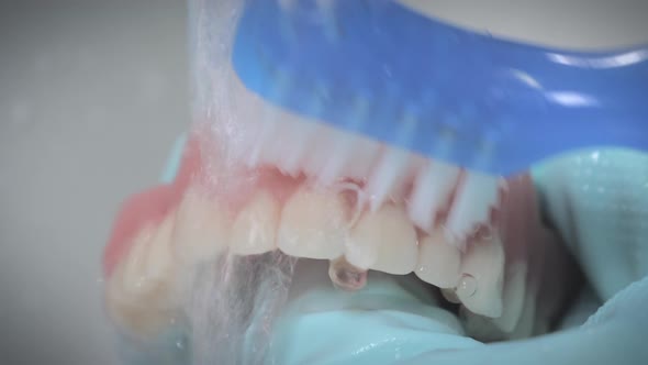 Closeup Shot Showing Brushing of Prosthesis Teeth with Running Water