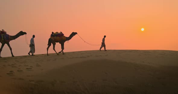 Two Indian Cameleers (Camel Driver) Bedouin with Camel Silhouettes in Sand Dunes of Thar Desert on