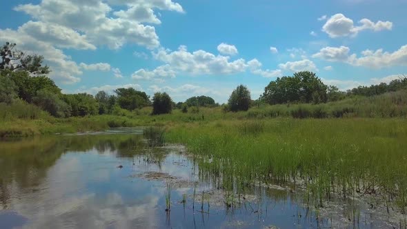 Summer River with Trees and Bushes. Aerial Landscape with Summer Scenery