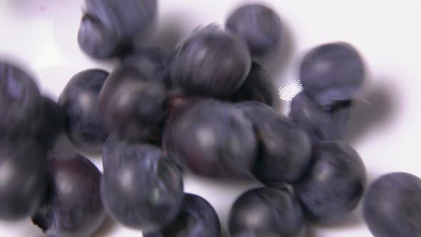 Closeup of Large Juicy Blueberries Falling Into the White Bowl