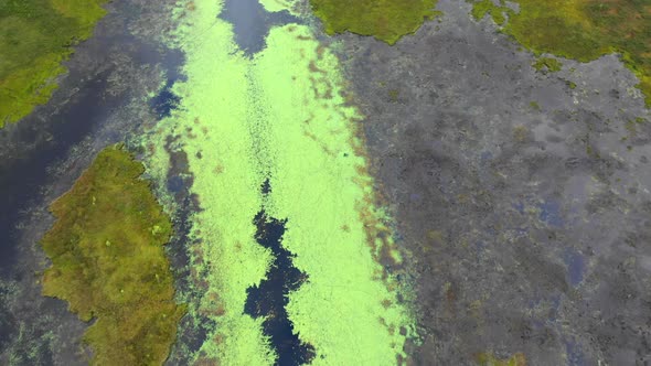 Aerial flying over the calm green waters of Shirley Bog in the Maine countryside with reflections of