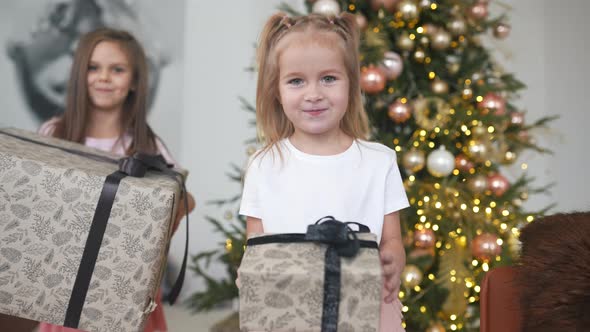 Charming Little Girls Holds a Gifts on a Background of Christmas Trees