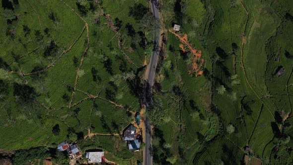 Aerial view of houses in countryside near Nuwara Eliya, Sri Lanka