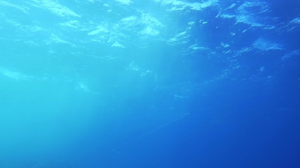 View Of Wavy Water Surface From The Depth