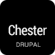 Chester Multi-Purpose And Software Drupal 7 Theme - ThemeForest Item for Sale