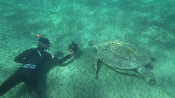 Shooting Sea Turtle Underwater