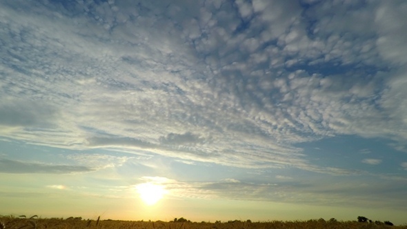 Sunset Sky over a Wheat Field