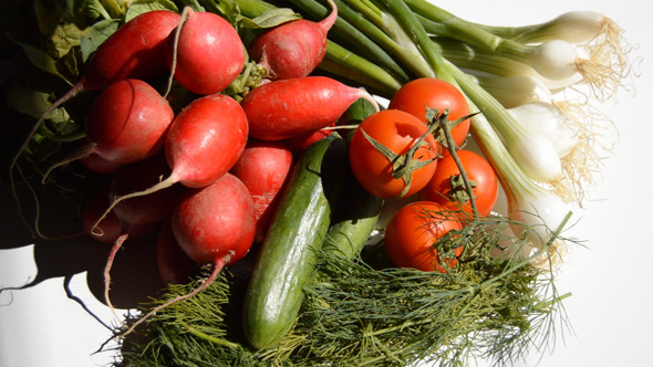 Onion Radish Cucumber and Dill