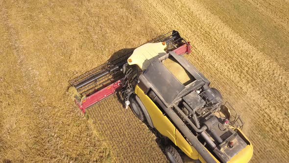 Aerial view of combine harvester harvesting large ripe wheat field.