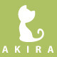 Akira - ThemeForest Item for Sale