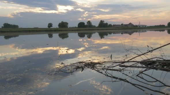 Pond, Surface of Water, Trees' Branches,