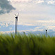 Windmills Field - VideoHive Item for Sale