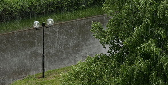 Rainy and Windy Day in the Summer Park