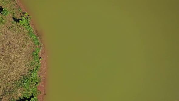 Drone bird's eye view rising up over a commercial fishing pond on a fish farm in the Tocantins regio