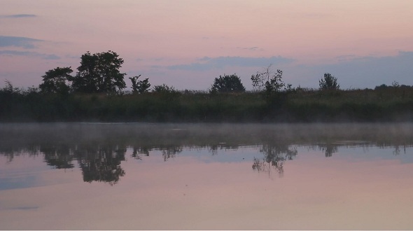Morning Mist on The River