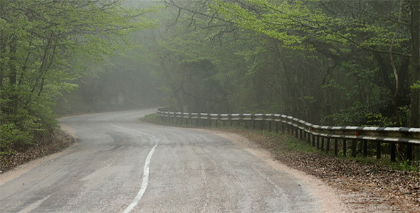 Fog on the Road