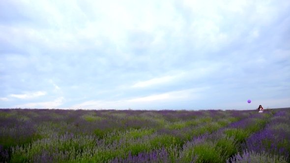 Little Girl In a Field Of Lavender.