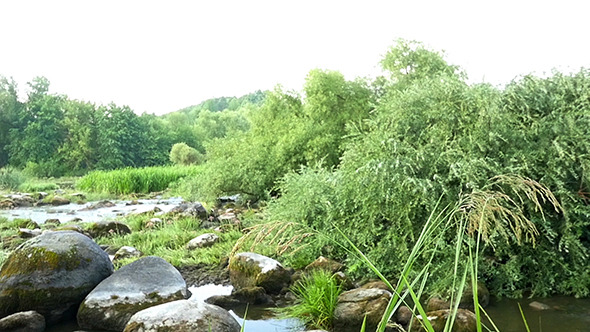 Landscape Of The River With Stones And Plants alt