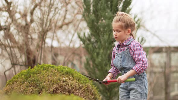 a Funny Little Girl Cuts Bushes in the Garden with Large Pruner