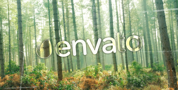 Photo Logo Reveal alt