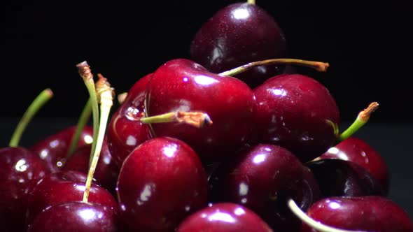 Cherries Just Harvested