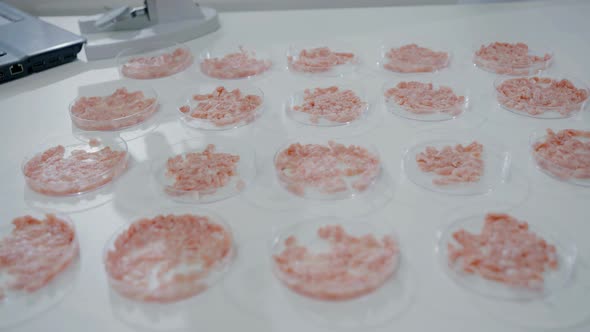 Artificial Cultured Meat on a Laboratory Table in Petri Dishes Hand in a Blue Medical Glove