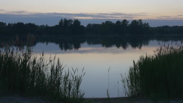 Reed on The Pond, Sandy Beach