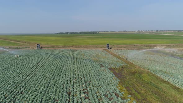 Irrigation System on Agricultural Land