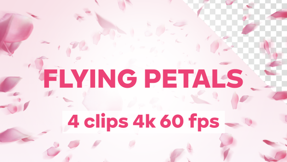 Flying Petals Spring Footage 4 clips